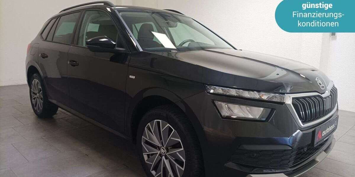 Skoda Kamiq 39.402 km 18.970 &euro; Egelsbach 63329