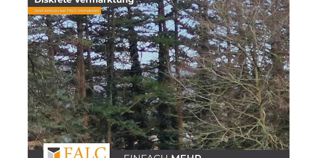 Mehrfamilienhaus, Wohnhaus Mömbris-Niedersteinbach Neuses - 7 Zimmer, 220 m&sup2;, 1.450.000&euro; | Angebot:25678084