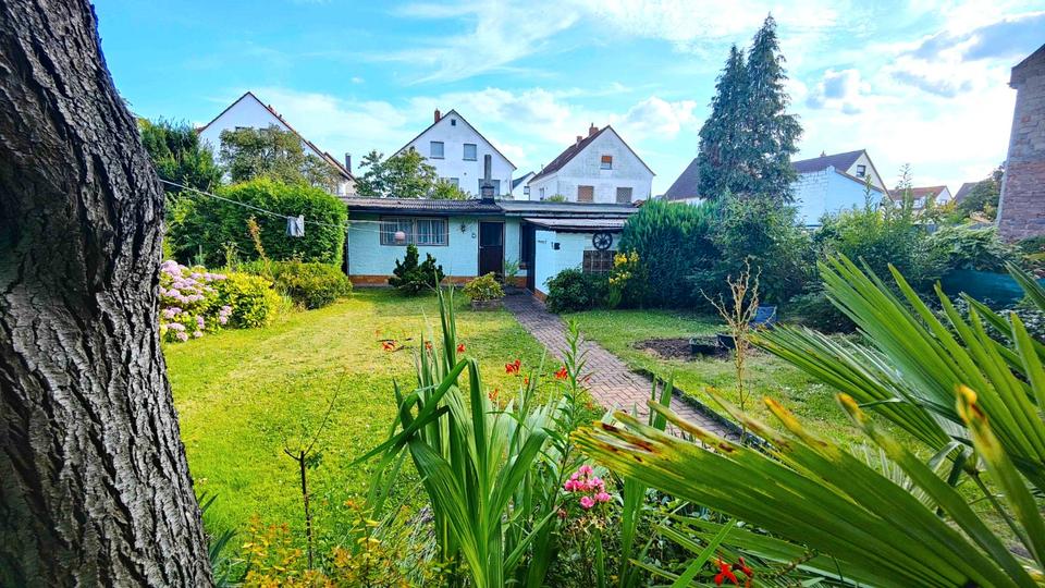 Mehrfamilienhaus, Wohnhaus Offenbach am Main Bürgel - 7 Zimmer, 207 m&sup2;, 615.000&euro; | Angebot:26635263
