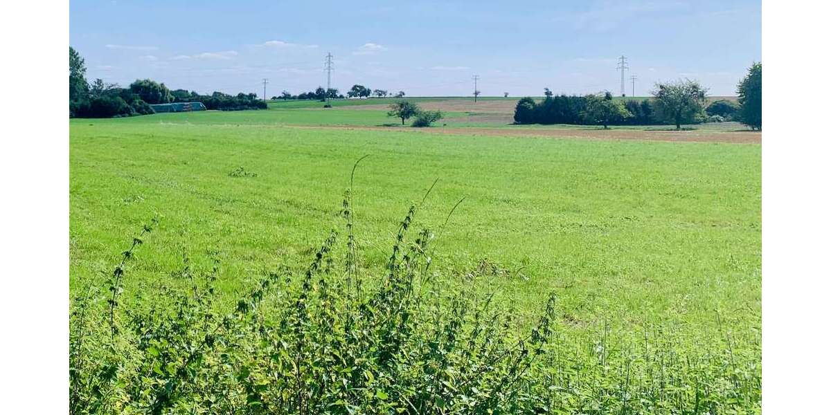 Grundstück Frankfurt am Main - 4.200.000&euro; | Angebot:24395978