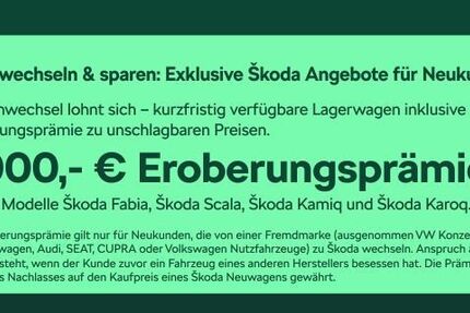 Skoda Karoq 4.500 km 36.480 &euro; Frankfurt 60435