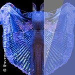 Wechselbalg - Ein Drag-Theaterabend