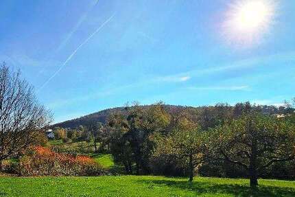 Grundstück Hösbach - 325.000&euro; | Angebot:19205350