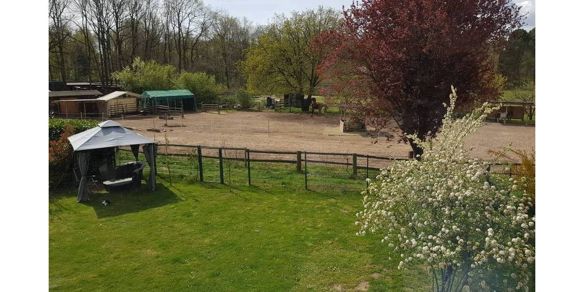 Etagenwohnung Dreieich Dreieichenhain - 4 Zimmer, 144 m&sup2;, 2.000&euro; | Angebot:26628835