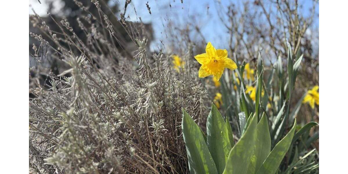 Einfamilienhaus Ranstadt - 6 Zimmer, 170 m&sup2;, 449.900&euro; | Angebot:25775618