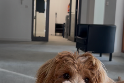 Gewerbeobjekt Frankfurt am Main - 300&euro; | Angebot:26010413