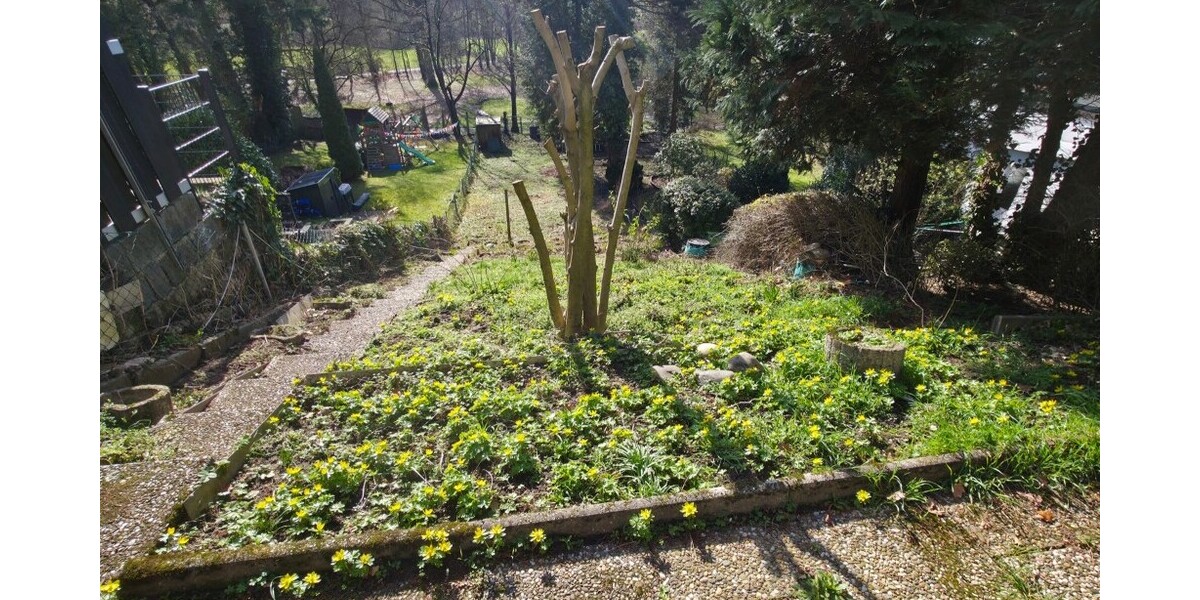 *Rohdiamant mit Potenzial! Großzügiges Reihenhaus in begehrter Wohnlage von Hanau-Steinheim* - Reihenhaus Hanau Groß-Steinheim | Angebot:24804165