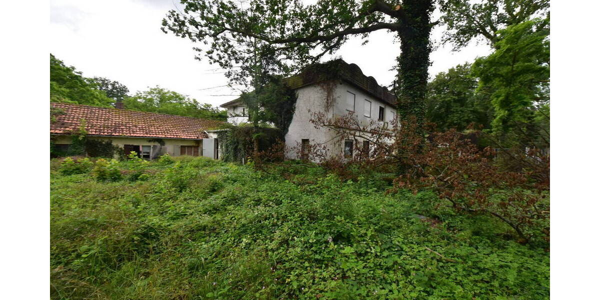 Gewerbeobjekt Babenhausen - 495.000&euro; | Angebot:25693330