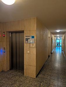 CHARMANT WOHNEN IN KESSELSTADT - Etagenwohnung Hanau Kesselstadt | Angebot:25420121