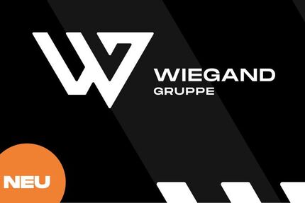 VW Beetle 45.291 km 23.941 &euro; Büdingen-Düdelsheim 63654