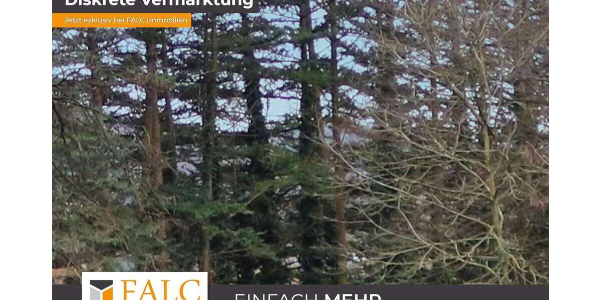 Einfamilienhaus Mömbris-Niedersteinbach Niedersteinbach - 7 Zimmer, 220 m&sup2;, 1.450.000&euro; | Angebot:25945757