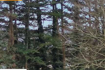 Haus Mömbris-Niedersteinbach Niedersteinbach - 7 Zimmer, 220 m&sup2;, 1.450.000&euro; | Angebot:25945757