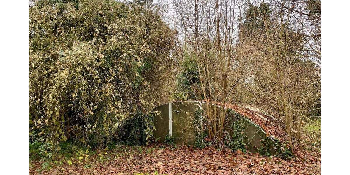 Einfamilienhaus Niddatal / Assenheim Assenheim - 5 Zimmer, 140 m&sup2;, 309.000&euro; | Angebot:25770246