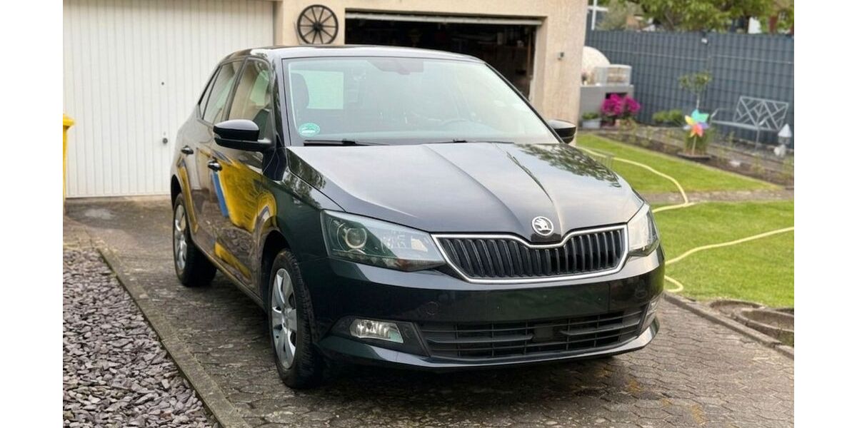 Skoda Fabia 176.423 km 6.490 &euro; hanau 63450