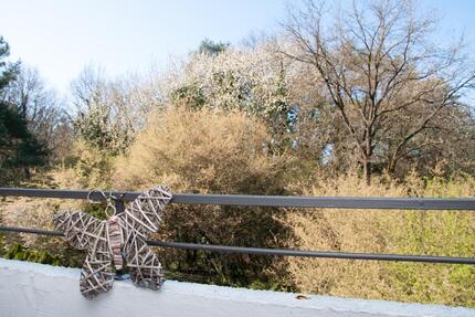 Wohnung Offenbach am Main Bieber - 3 Zimmer, 74 m&sup2;, 978&euro; | Angebot:26024709