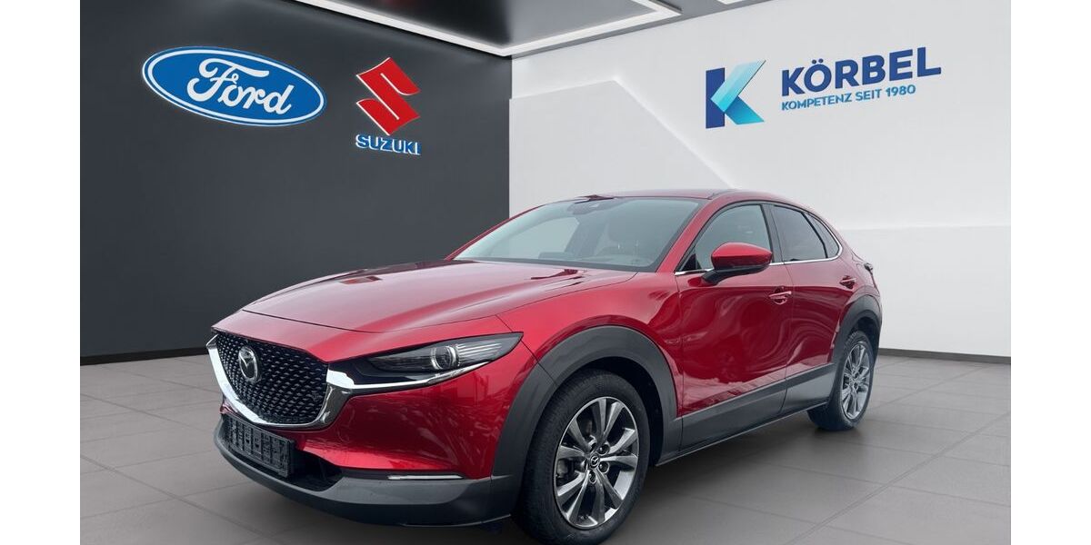 Mazda CX-30 108.400 km 18.440 &euro; Nidderau-Heldenbergen 61130