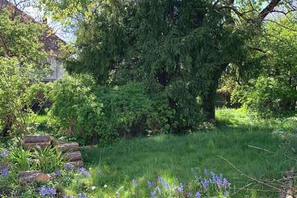 Grundstück Oberursel (Taunus) - 795.000&euro; | Angebot:26656652