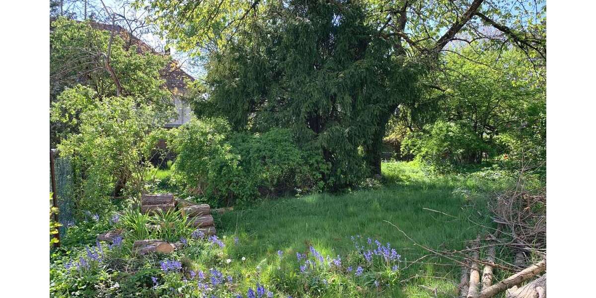 Grundstück Oberursel (Taunus) - 795.000&euro; | Angebot:26656652