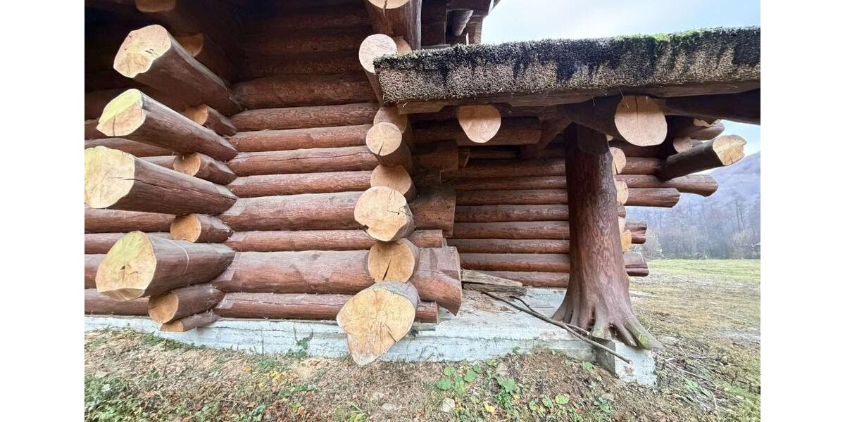 Einfamilienhaus Frankfurt am Main Westend Süd - 155.000&euro; | Angebot:25884216