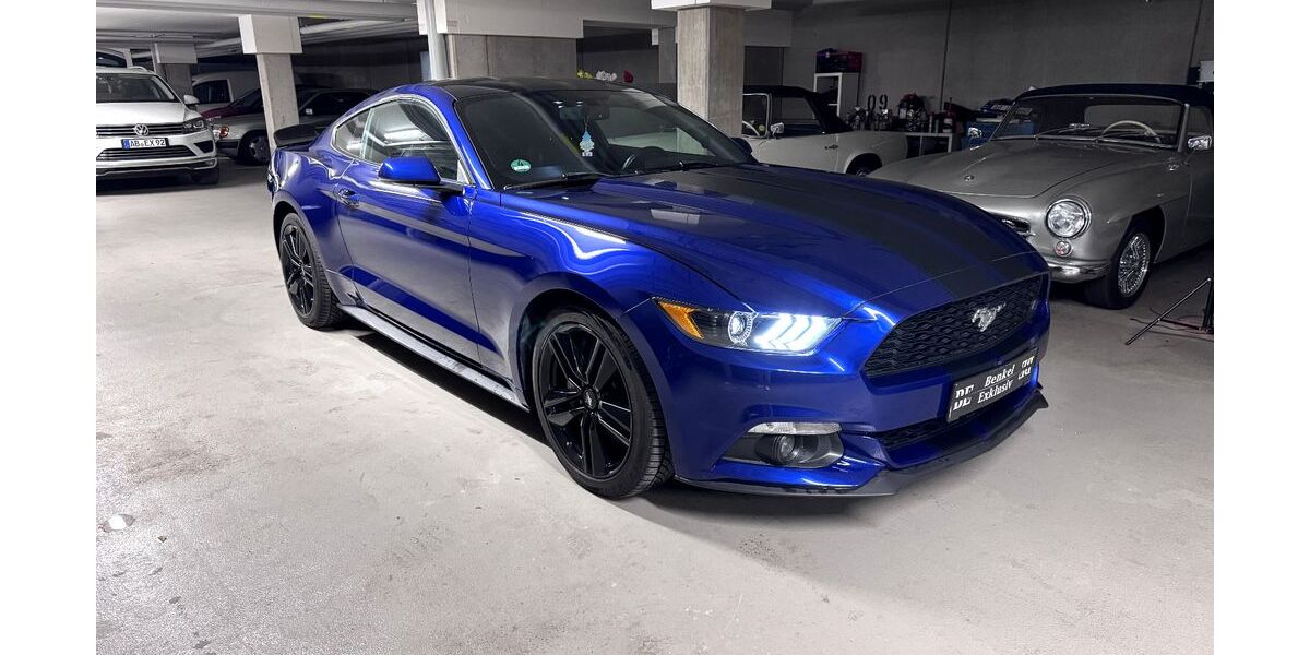 Ford Mustang 80.000 km 20.250 &euro; ASchaffenburg 63739