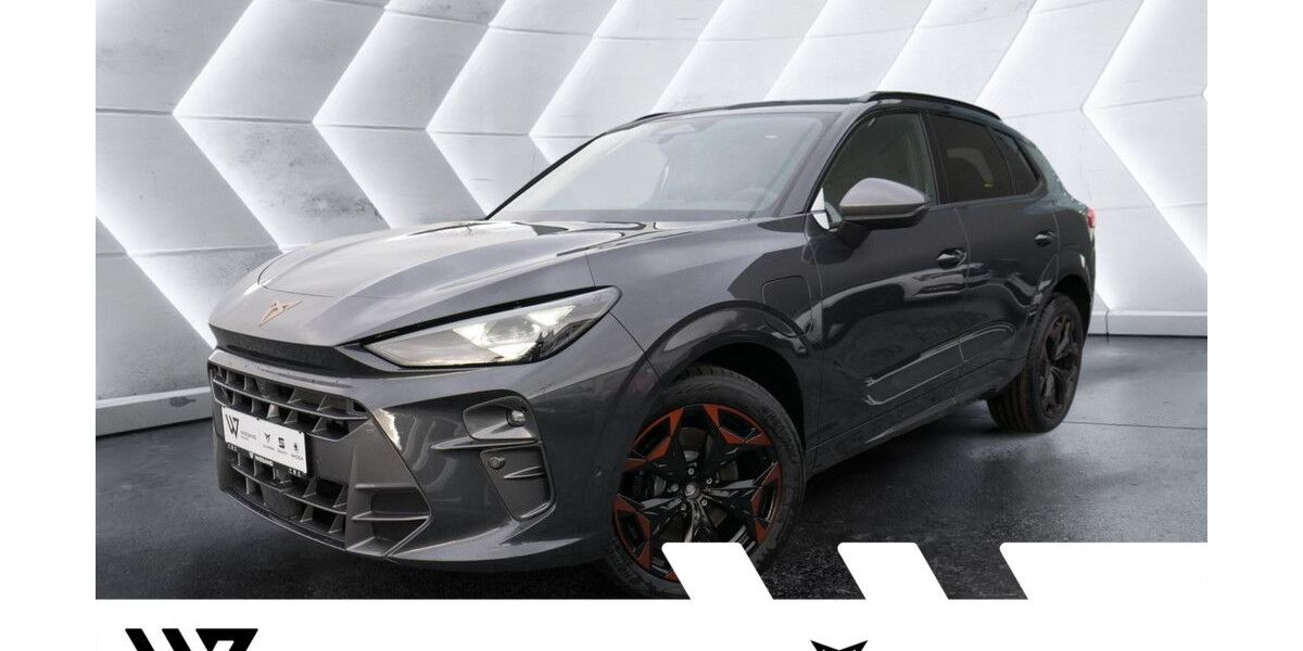 Cupra Terramar 15.000 km 42.937 &euro; Büdingen-Düdelsheim 63654