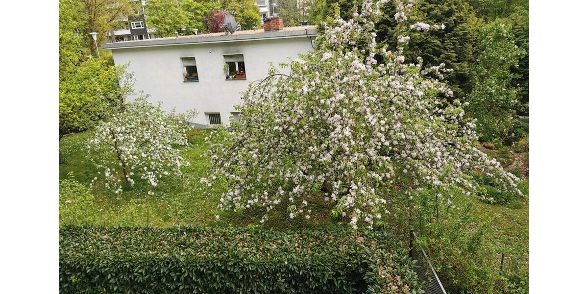 Etagenwohnung Friedrichsdorf - 2 Zimmer, 54 m&sup2;, 1.050&euro; | Angebot:25642541