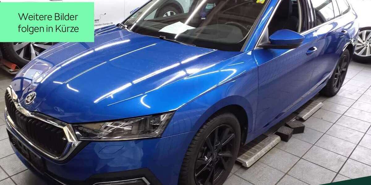 Skoda Octavia 54.500 km 24.888 &euro; Mühlheim a. Main 63165