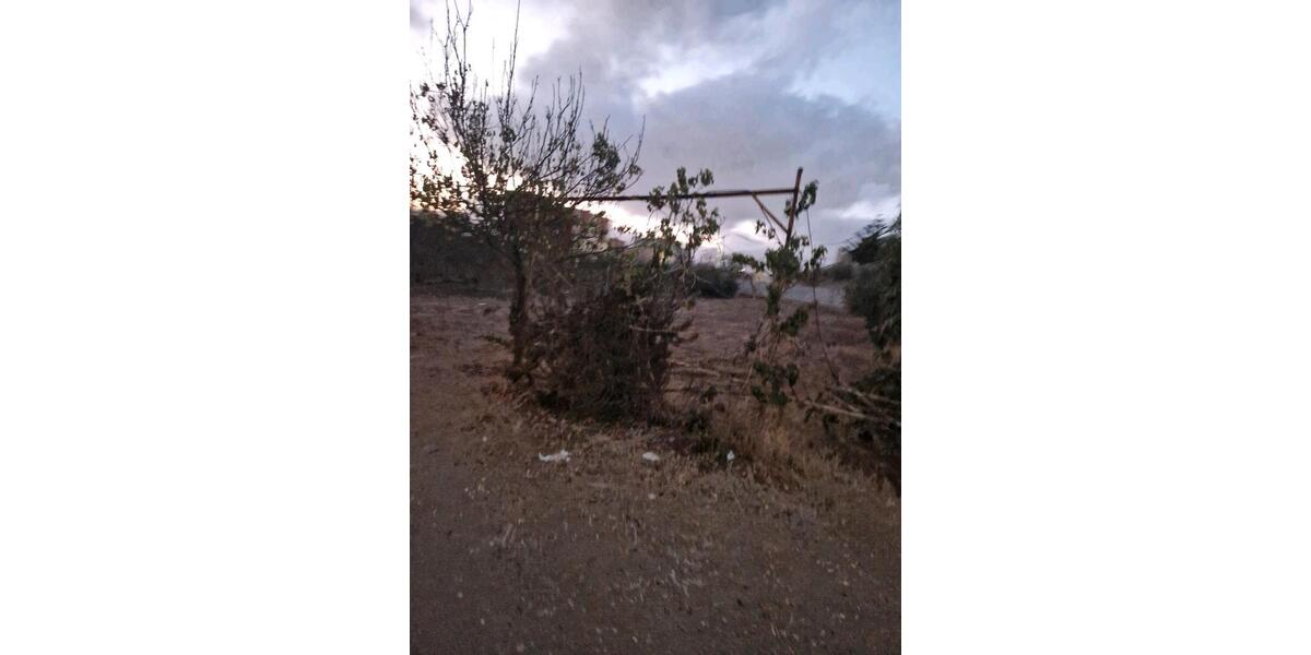 Einfamilienhaus Frankfurt am Main Ost - 320.000&euro; | Angebot:21554425