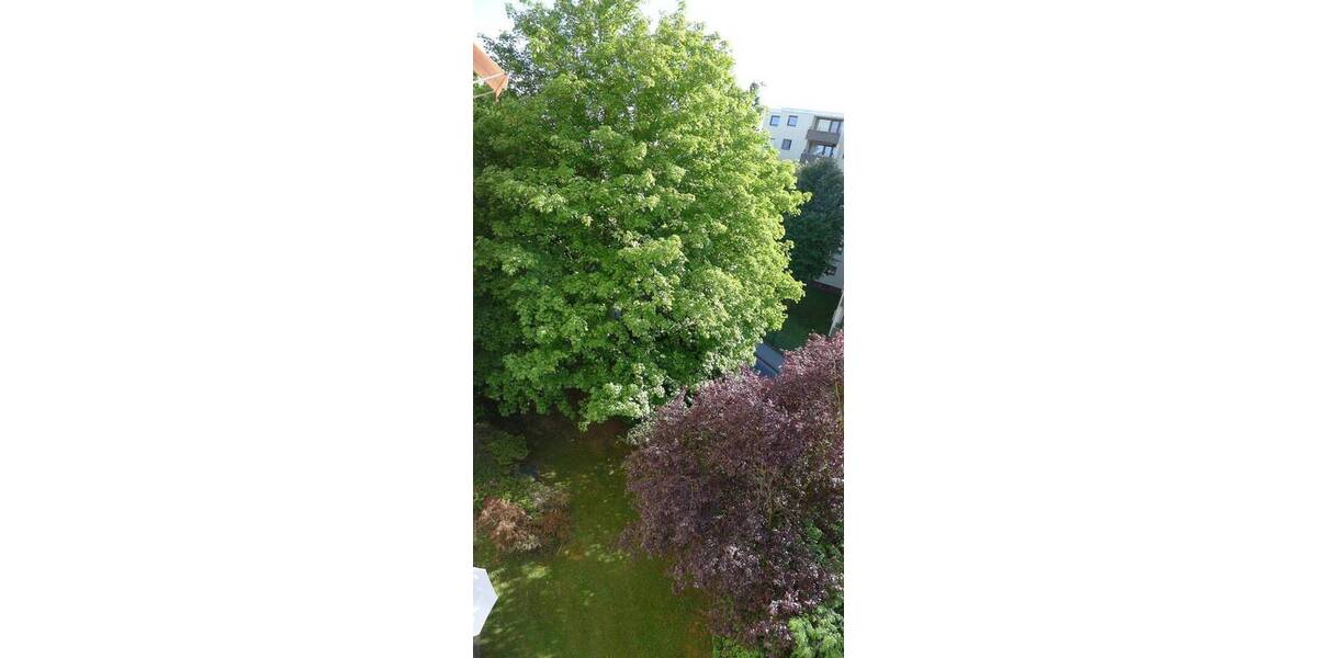 Etagenwohnung Frankfurt am Main Sossenheim - 3 Zimmer, 90 m&sup2;, 339.000&euro; | Angebot:25731104