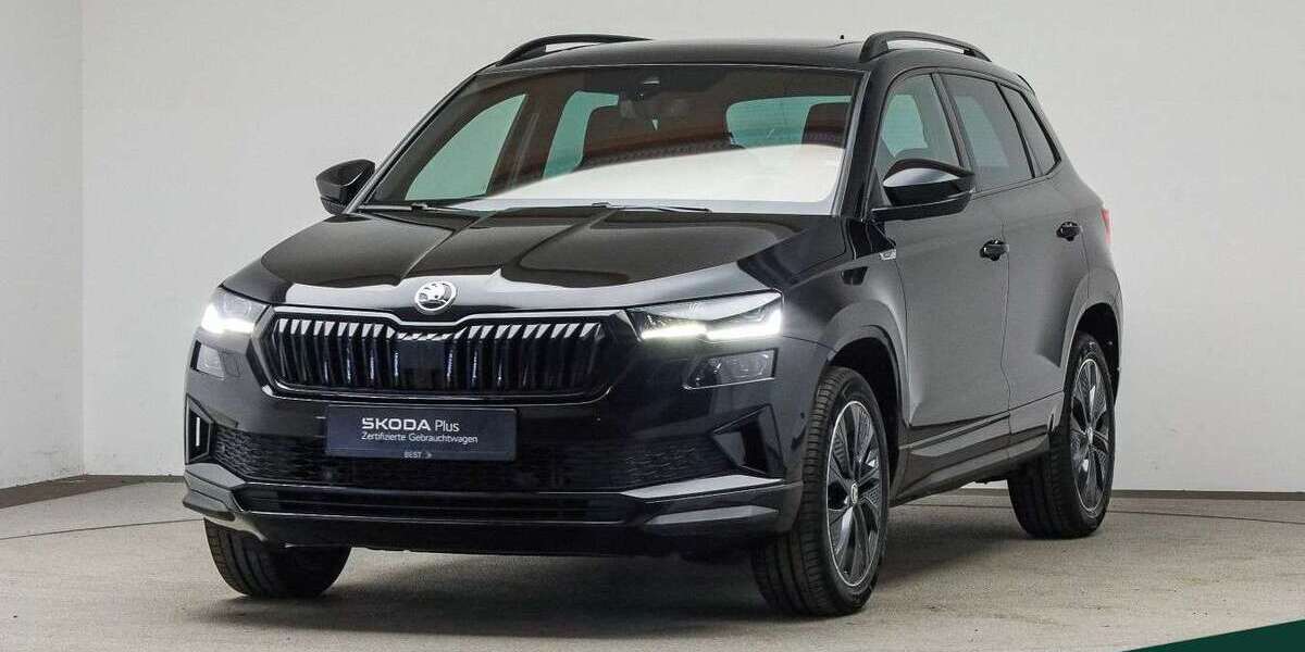 Skoda Karoq 69.100 km 26.488 &euro; Mühlheim a. Main 63165