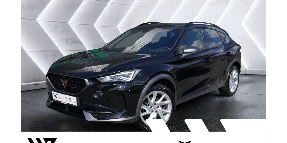 Cupra Formentor 51.607 km 25.342 &euro; Gelnhausen 63571