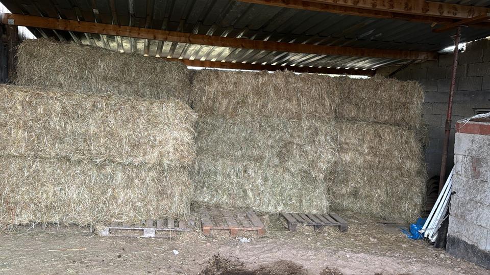 Bauernhaus, Landhaus Limeshain - 4 Zimmer, 112 m&sup2;, 439.000&euro; | Angebot:26578037
