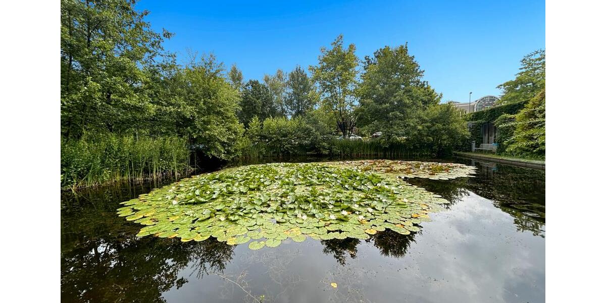 Gewerbeobjekt Neu-Isenburg Isenburg - 4.106&euro; | Angebot:22928295