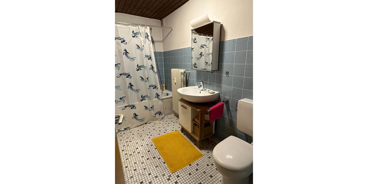 Dachgeschoßwohnung Neu-Isenburg Isenburg - 1 Zimmer, 52 m&sup2;, 700&euro; | Angebot:25975686