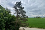 Steinbach: Großzügige Wohnung für die junge Familie! - Etagenwohnung Steinbach | Angebot:26476376