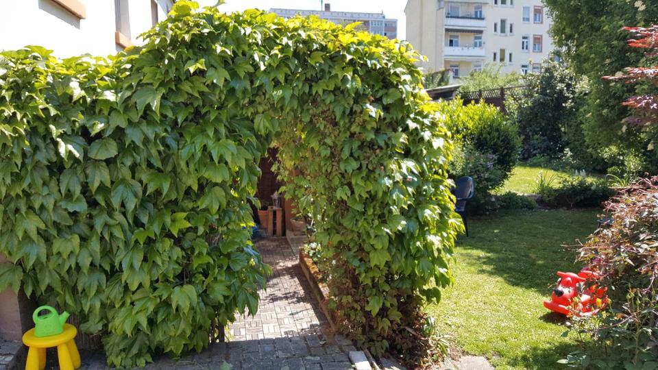 Doppelhaushälfte Frankfurt am Main Sachsenhausen - 4 Zimmer, 102 m&sup2;, 500.000&euro; | Angebot:26165113