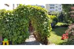 Doppelhaushälfte Frankfurt am Main Sachsenhausen - 4 Zimmer, 102 m&sup2;, 500.000&euro; | Angebot:26165113