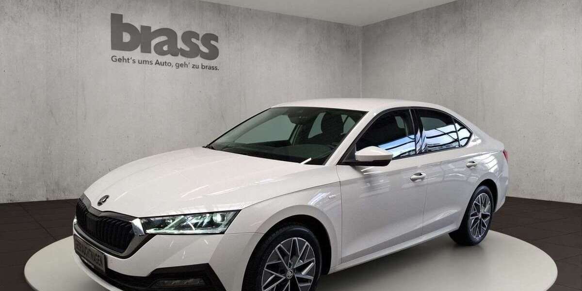 Skoda Octavia 128.160 km 19.900 &euro; Dietzenbach 63128