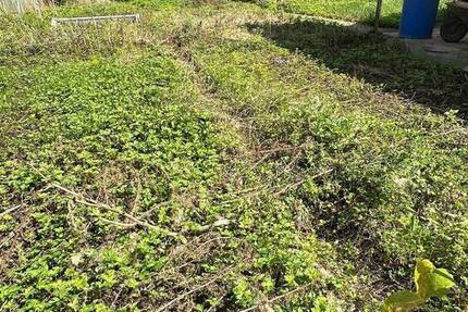 Grundstück Mömbris Schimborn - 229.000&euro; | Angebot:25679064