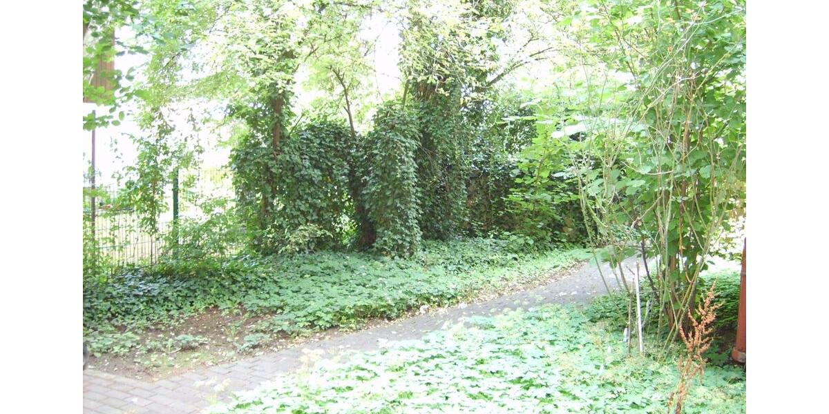 Etagenwohnung Frankfurt am Main Rödelheim - 2 Zimmer, 35 m&sup2;, 550&euro; | Angebot:25876455