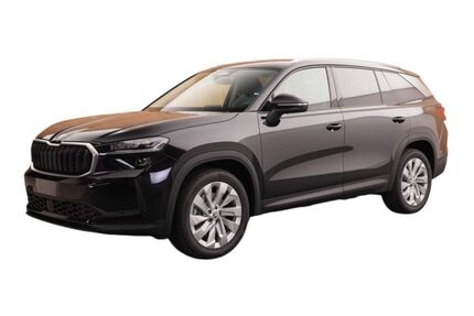 Skoda Kodiaq 50 km 46.398 &euro; Schöneck 61137