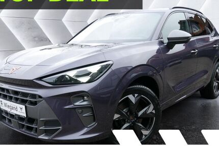 Cupra Terramar 7.500 km 44.997 &euro; Gelnhausen 63571
