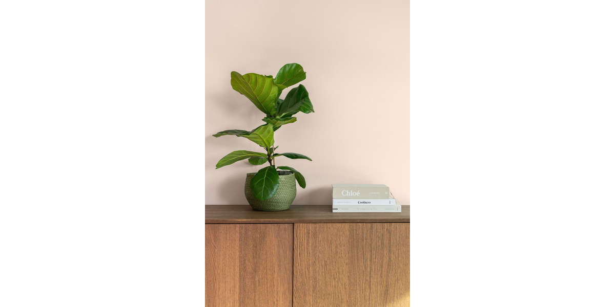 Etagenwohnung Frankfurt am Main Ostend - 2 Zimmer, 63 m&sup2;, 2.570&euro; | Angebot:25690766