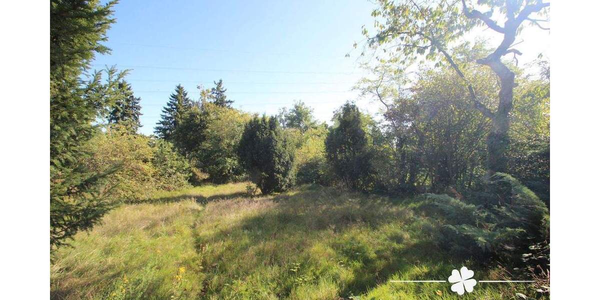 Einfamilienhaus Stockstadt am Main - 6 Zimmer, 130 m&sup2;, 575.000&euro; | Angebot:25739076