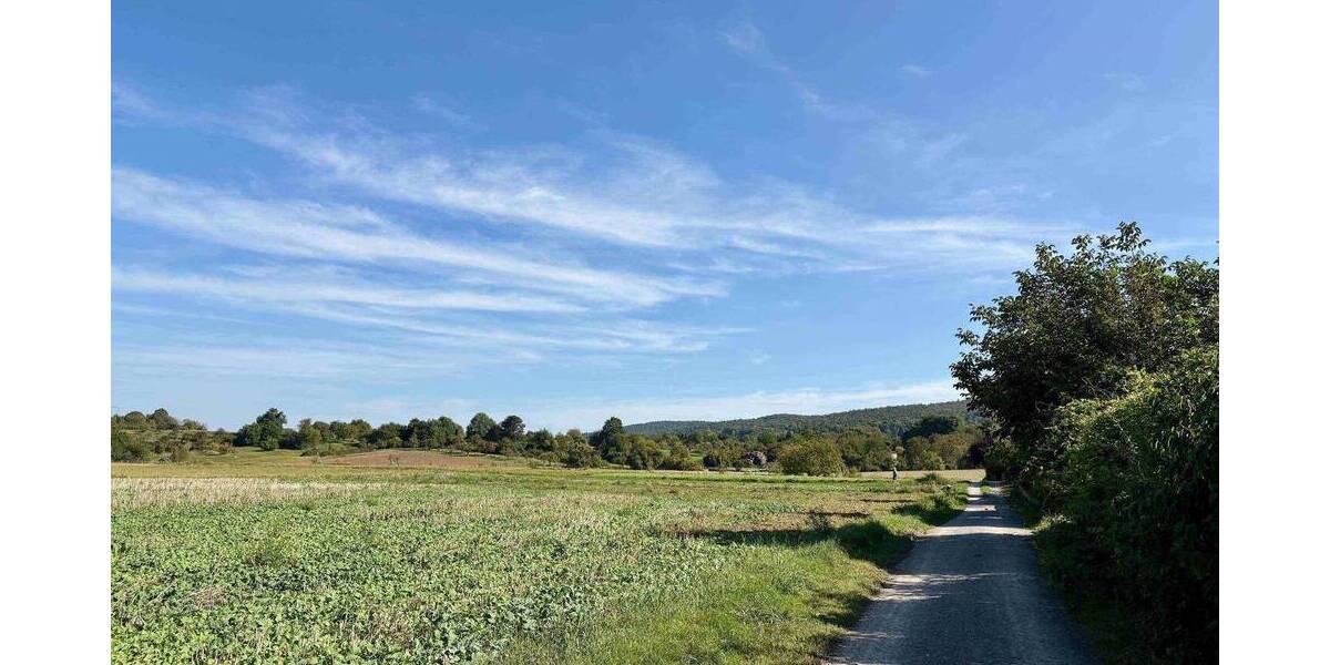 Etagenwohnung Alzenau Wasserlos - 3 Zimmer, 110 m&sup2;, 395.000&euro; | Angebot:25686300