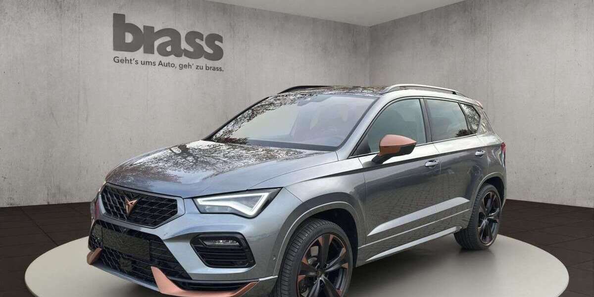 Cupra Ateca 23.500 km 34.600 &euro; Offenbach 63075