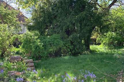 Grundstück Oberursel (Taunus) - 795.000&euro; | Angebot:27097191