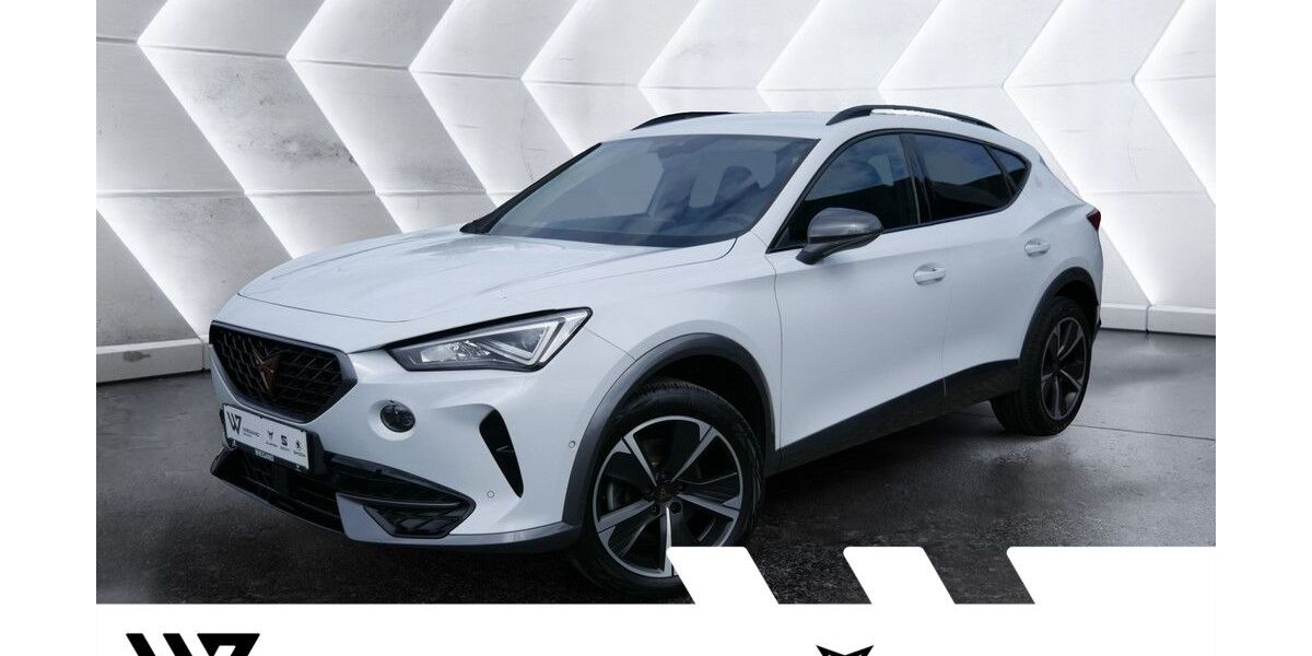 Cupra Formentor 78.467 km 20.323 &euro; Büdingen-Düdelsheim 63654