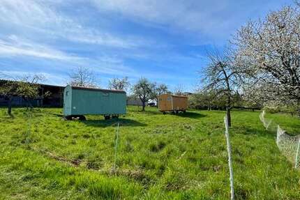 Sonstige Bad Soden am Taunus / Altenhain Altenhain - 49.000&euro; | Angebot:20400469