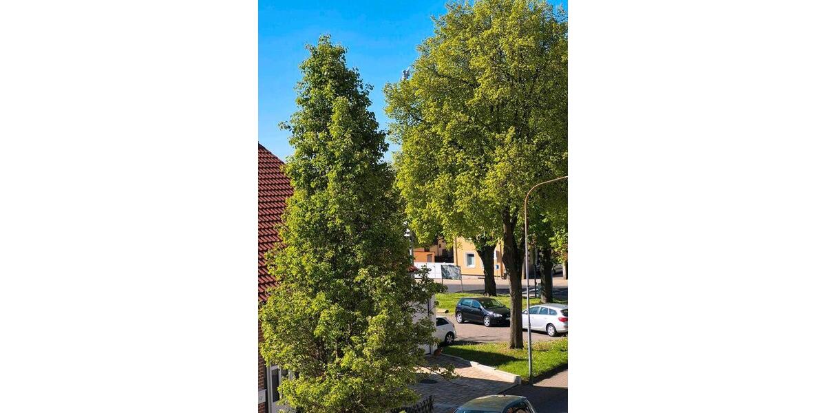 Etagenwohnung Nidderau - 2 Zimmer, 65 m&sup2;, 195.000&euro; | Angebot:26445700